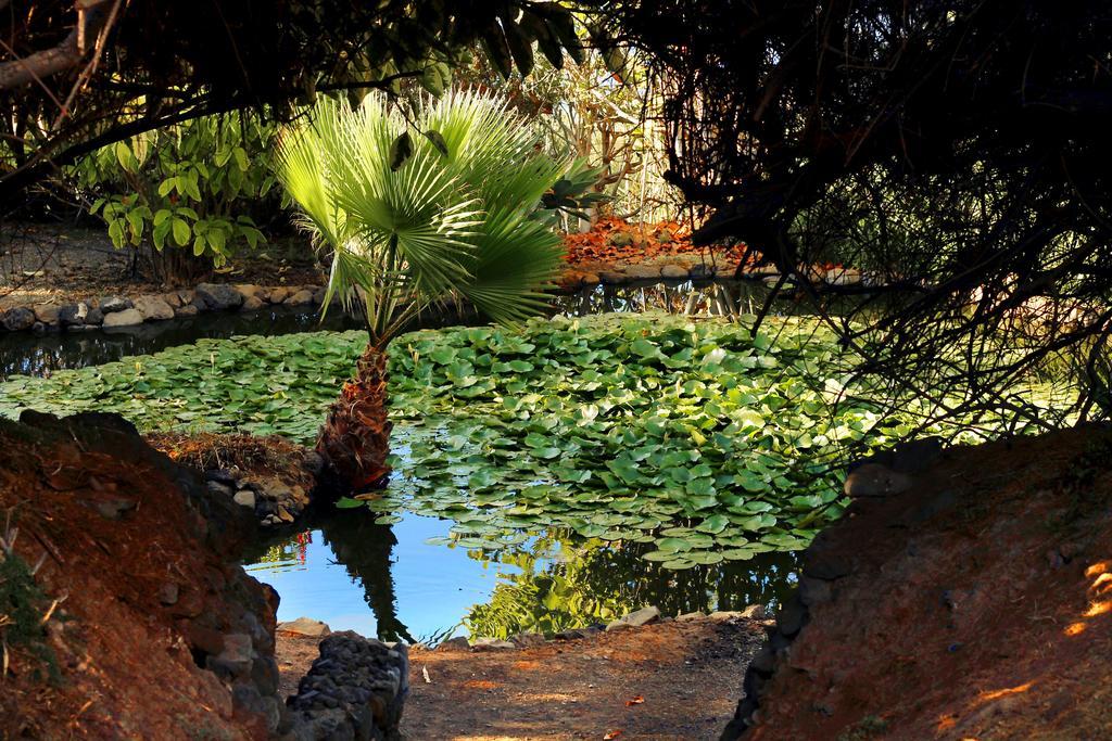Apartments Finca El Rincon La Orotava Kültér fotó