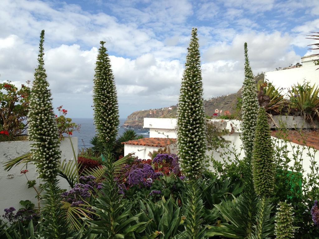 Apartments Finca El Rincon La Orotava Szoba fotó