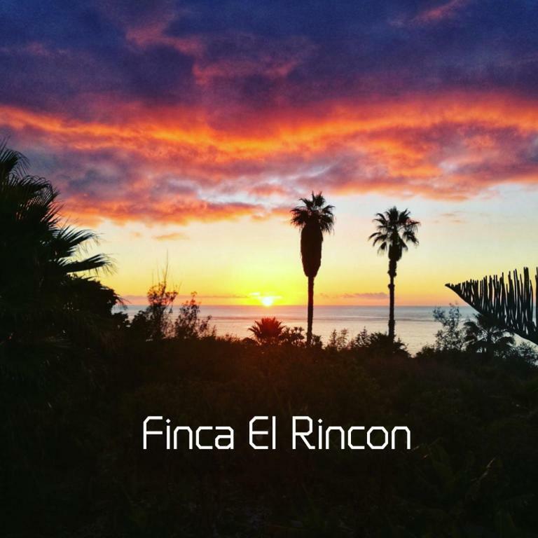 Apartments Finca El Rincon La Orotava Kültér fotó